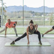 Load image into Gallery viewer, Airex® Fitline 140 Mat
