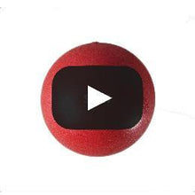Load image into Gallery viewer, SPRI® Sponge Ball
